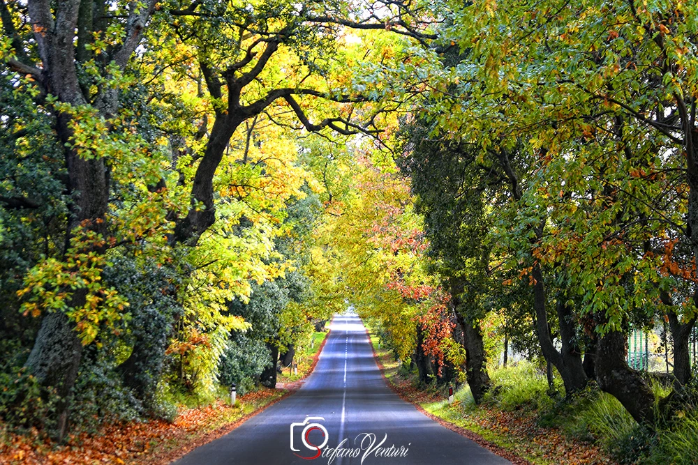 1 lezione corso la luce