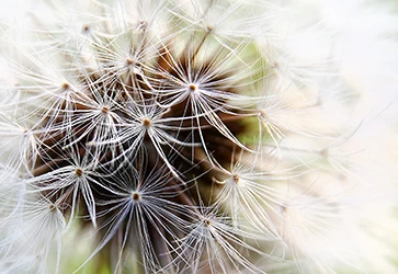 gli obiettivi fotografici