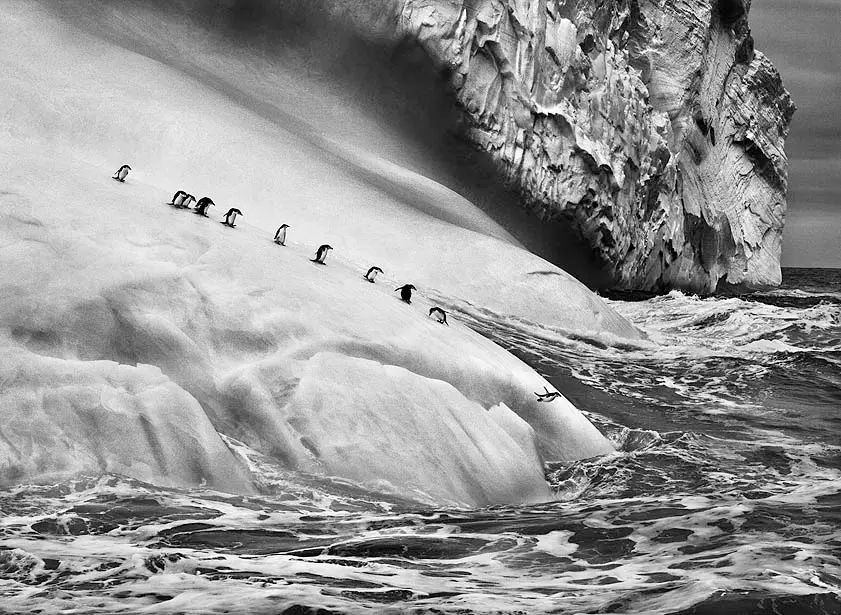 genesi_sebastiao_salgado