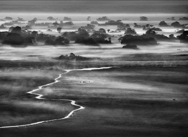 genesi_sebastiao_salgado