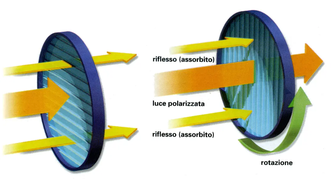 polarizzatore