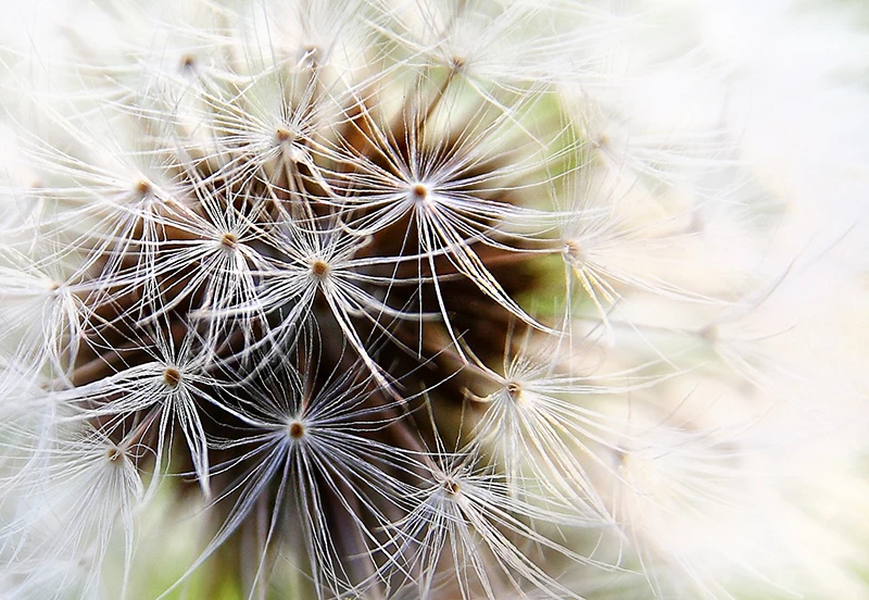 5 elementi per fare foto bellissime