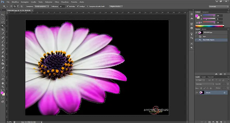 Corso di photoshop - Strumenti selezione rapida