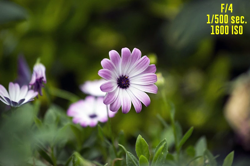 l'esposizione in fotografia