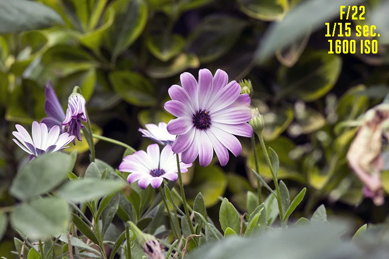 l'esposizione in fotografia