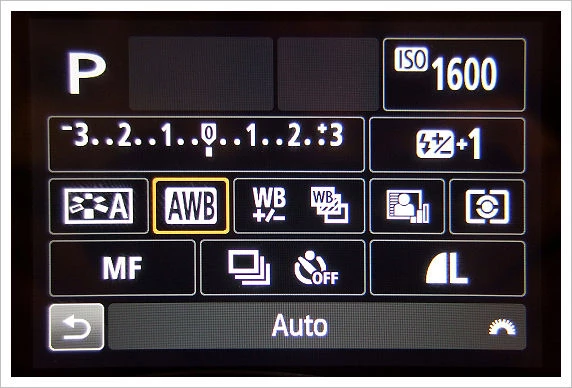 lezione sul bilanciamento del bianco