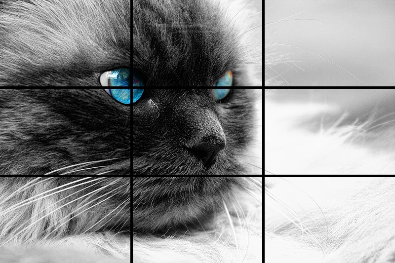 la regola dei terzi la regola dei terzi