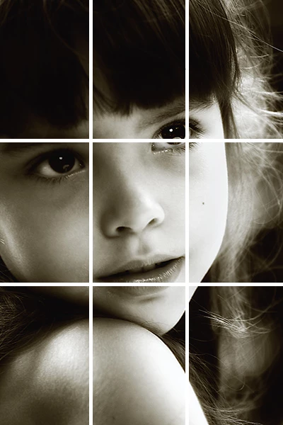 la regola dei terzi la regola dei terzi