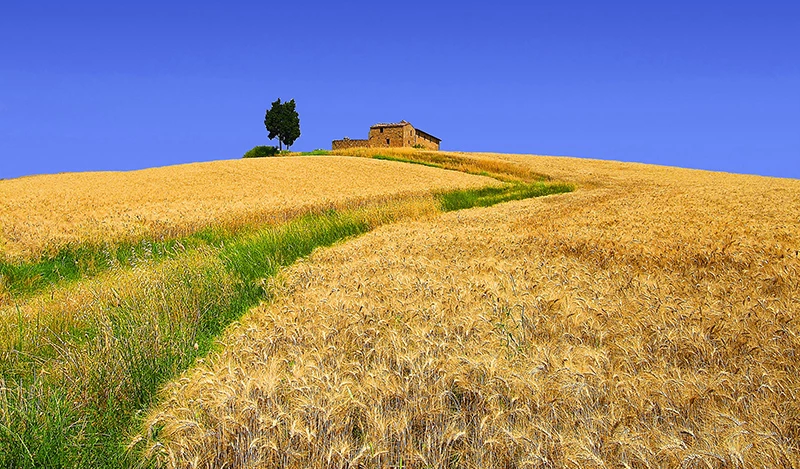 la regola dei terzi la regola dei terzi