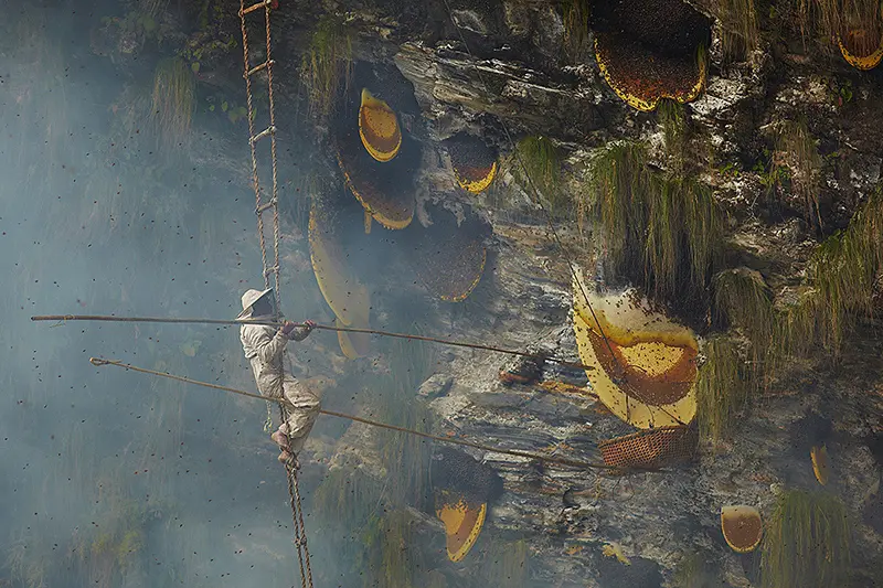 Dietro le quinte del documentario del National Geographic "The Last Honey Hunter"