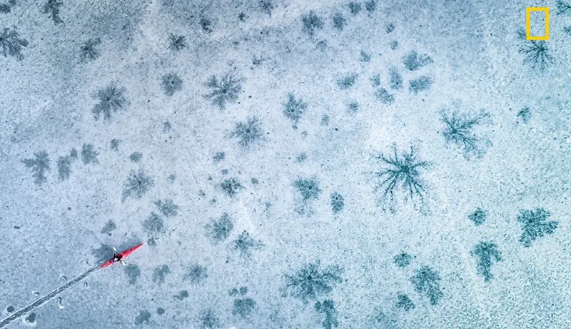 Nature Photographer of the Year 2017