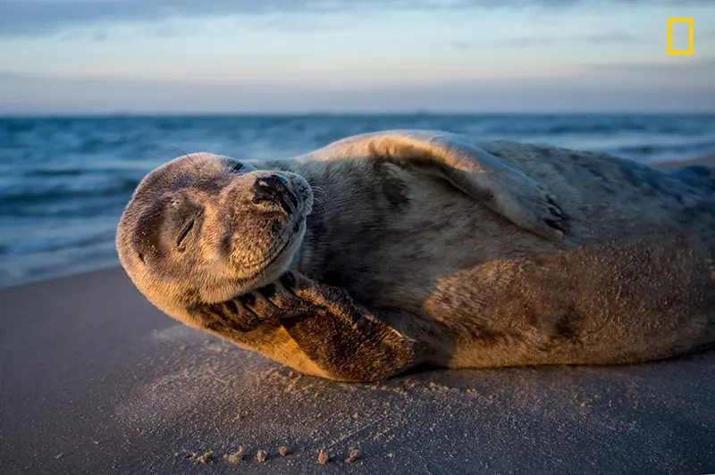 Nature Photographer of the Year 2017