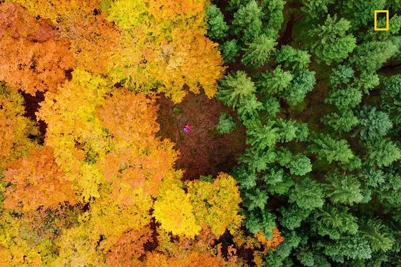 Nature Photographer of the Year 2017