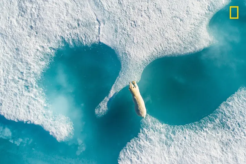 Nature Photographer of the Year 2017