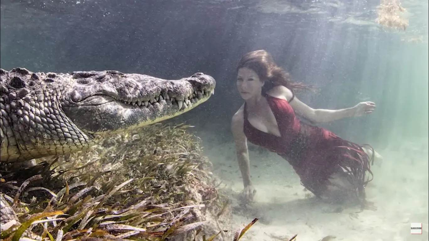 L'assurdo servizio fotografico nelle acque invase da coccodrilli