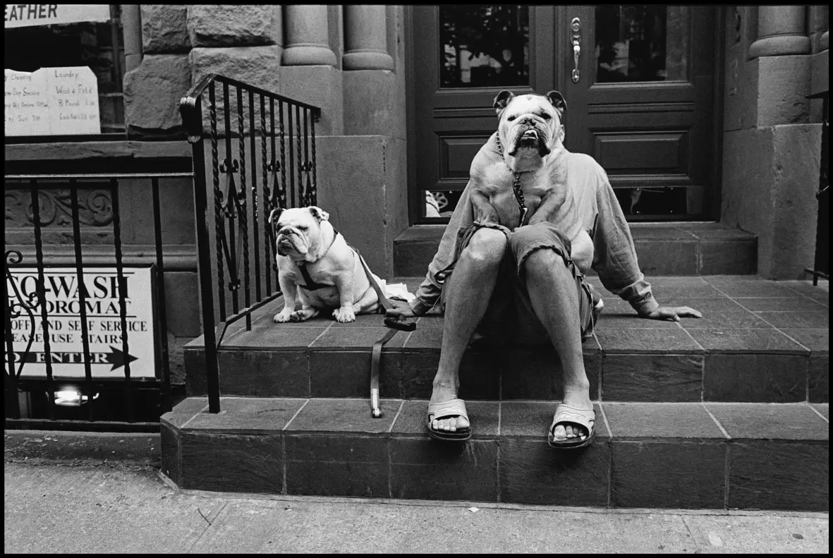 eliott erwitt