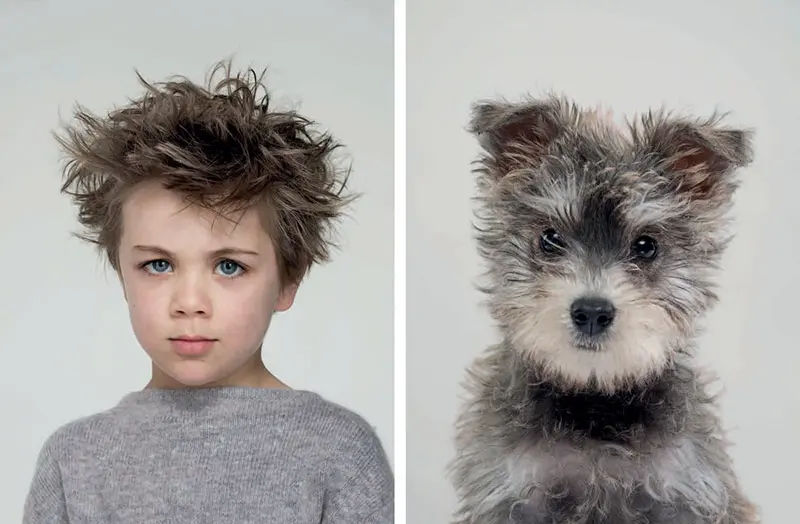 Le incredibili somiglianze tra cani e padroni. E tu, assomigli al tuo cane?