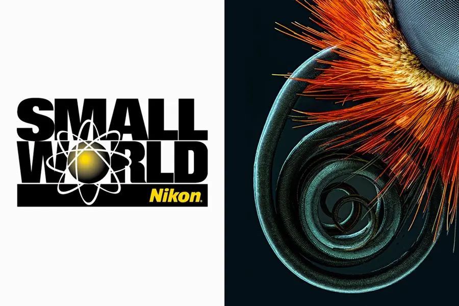 Nikon's Small World