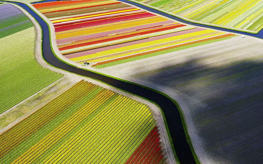 Luoghi da fotografare: la fioritura dei tulipani in Olanda