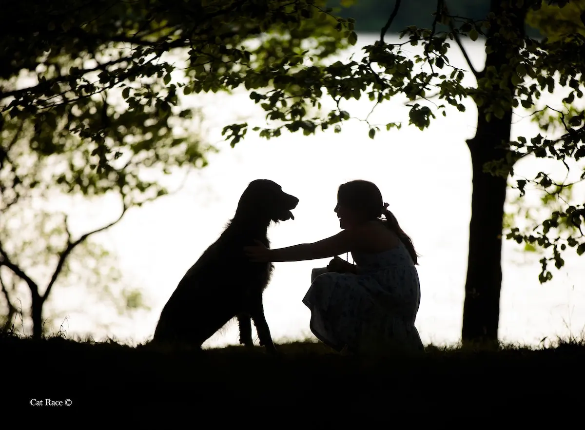 Dog Photographer of the Year