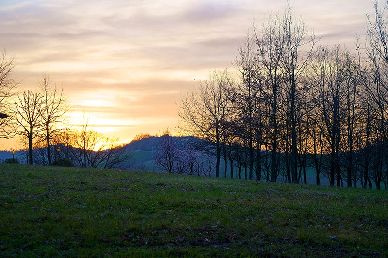 recensione sony a7 III recensione sony a7 III