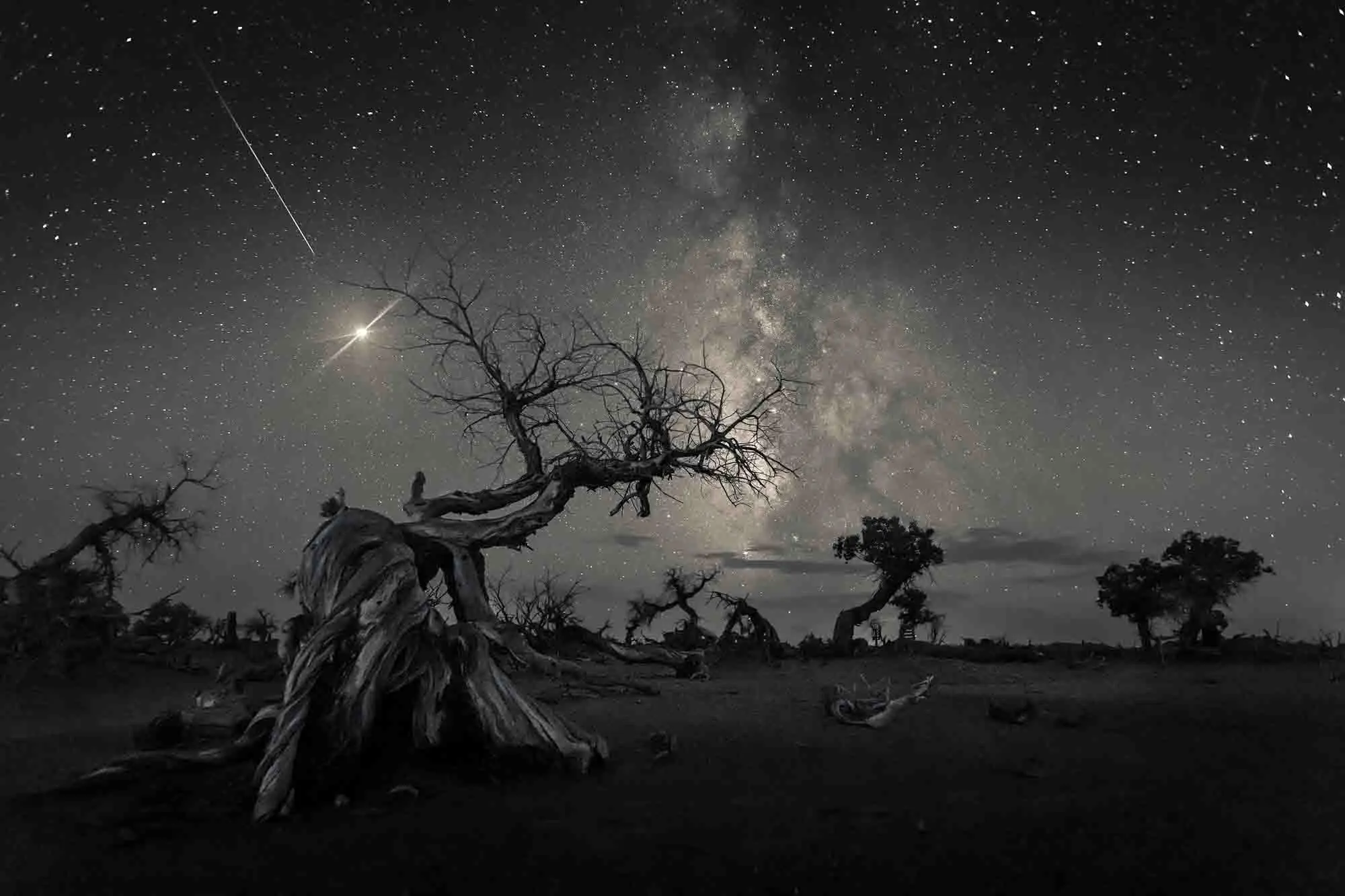 Astronomy Photographer of the Year