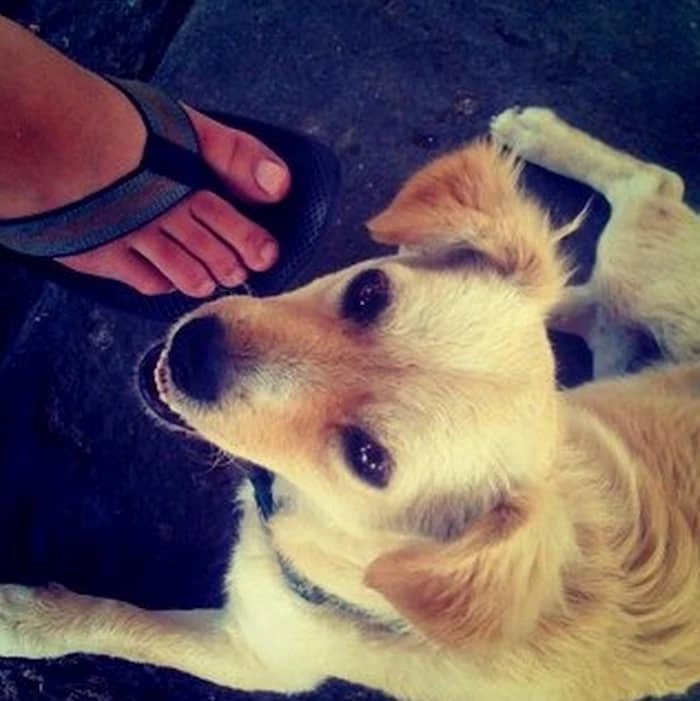 prime foto della storia prime foto della storia