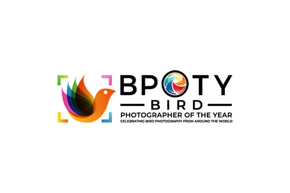 Annunciati i finalisti del Bird Photographer of the Year 2021