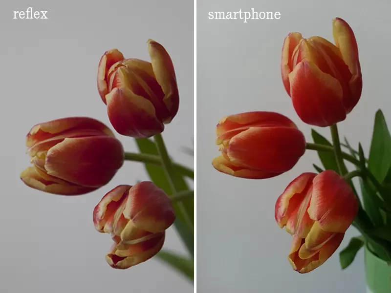 Fotocamera o Smartphone: Vantaggi e Svantaggi per la Fotografia