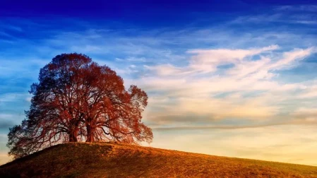 Luce e colore: questo è il segreto per una buona fotografia