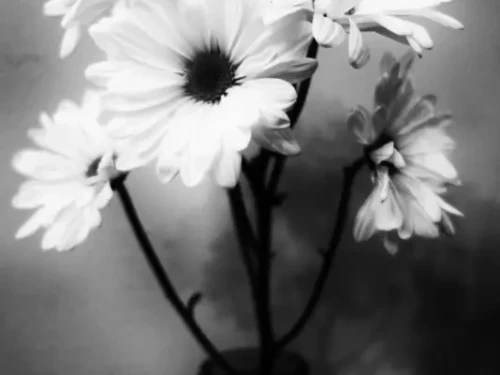 La fotografa Tammy Ruggles sfida i pregiudizi: La bellezza oltre la bassa visione