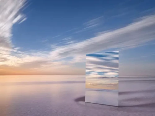 I paesaggi surreali di Murray Fredericks allo specchio