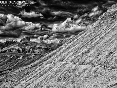 WONDERLAND - Terra delle meraviglie di Roberto Carnevali