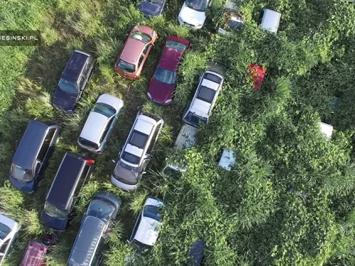 Fukushima inghiottita dalla natura. Le incredibili immagini a 10 anni dal disastro