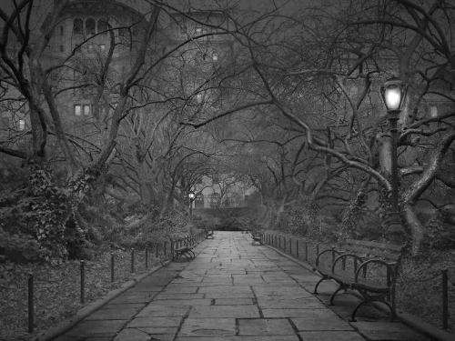 Central park come non lo avete mai visto