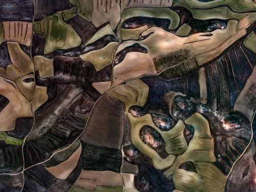Terre Sur/Reali. Spettacolari immagini aeree che assomigliano ai dipinti di Picasso, Miró e Dalí