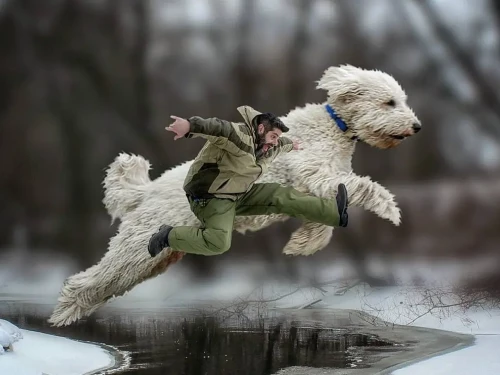 Le avventure di un fotografo e del suo cane gigante