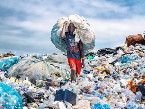La plastica è ovunque! Usiamo la fotografia per diffondere il messaggio e salvare il nostro pianeta
