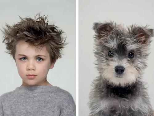 Le incredibili somiglianze tra cani e padroni. E tu, assomigli al tuo cane?