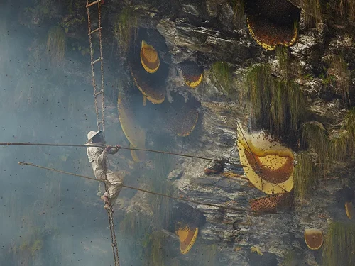 Dietro le quinte del documentario del National Geographic "The Last Honey Hunter"